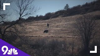 WATCH: Bears found at the 2022 CHSAA state cross country championship in Colorado Springs