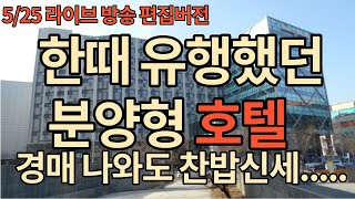 한때 유행했던 분양형 호텔 경매 찬밥신세