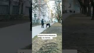 солдаты начинают восстание