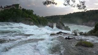 Rheinfall  - Rhine falls - video 2023 - Wasserfall water falls Schweiz Switzerland