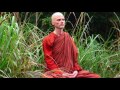 bhikkhu anālayo exploring the four satipatthanas guided meditation