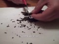 Flake Pipe Tobacco Cube Cut Method - PipesMagazine.com