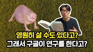 벌거숭이두더지쥐에서 배우는 건강과 장수의 비결