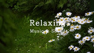 Debussy, Clair de Lune -  Relaxing Piano Music, Rain Sound, Calm piano, Peaceful, Deep Sleep