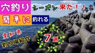 穴釣り（テトラ根魚釣り・ブラクリ仕掛け）ロックフィッシュ・ルアーフィッシングの愛知県釣り場紹介