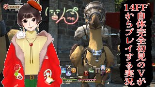 🍎FF自体初見の私、格闘家を使いこなせない＊05🍏　#新人vtuber #ff14