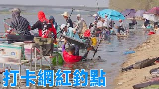 【鄧剛釣魚】打卡東荊河網紅釣點，現場釣友粉絲太瘋狂，只好提前收桿了