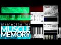 Muscle memory strategies for keyboard players