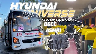 HYUNDAI UNIVERSE ASMR! - D6CC ENGINE SATISFYING!