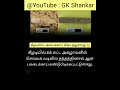 கீழடி 8 ஆம் கட்ட அகழாய்வில் dice 🎲 கிடைத்துள்ளது gk shankar