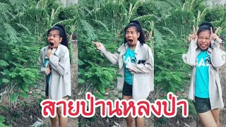 สายป่านหลงป่า #ตามหาสายป่าน | AOMSIN CHANNEL