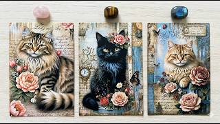 Whatever Comes Out…Comes Out 🔮Pick a Card Tarot Reading