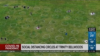 Circles promoting physical distancing painted at Trinity-Bellwoods