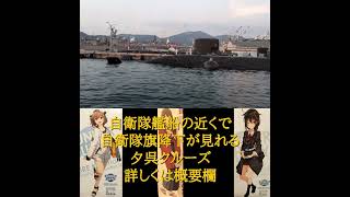 艦船の自衛隊旗を降下するところがまじかに見れる夕呉クルーズ