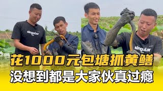 花1000元包塘和小飛哥抓鱔魚，沒想到都是大家夥太過癮了【抓鱔大娃】