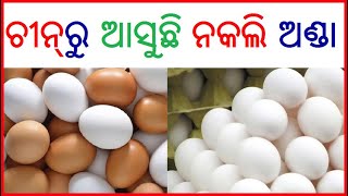 ଚୀନ୍‌ ରୁ ଆସୁଥିବା ନକଲି ଅଣ୍ଡା ପ୍ରତି ସାବଧାନ - Be Careful About Fake Egg of China