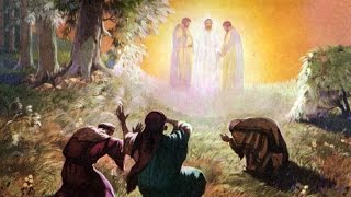 Pope Francis describes Christ's face and the Transfiguration HD