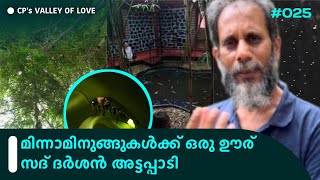 മിന്നാമിനുങ്ങുകൾക്ക് ഒരു ഊര് | സദ് ദർശൻ അട്ടപ്പാടി | Sat Darshan Ashramam | Lumino city | Fireflies