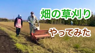 畑の草刈り　やってみた