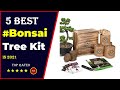 ✅ Top 5: Best Bonsai Starter Kit 2024 [Tested & Reviewed]