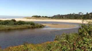 Beaver Creek Estuary, Oregon. Эстуарий р. Бобровая, Орегон (2046sp)