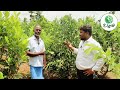 bari 1 சாத்துக்குடியில் சாதித்த விவசாயி ஏக்கருக்கு 8 லட்சம் லாபம் agriculture trending farming