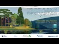 Nature-Based Solutions Webinar Series: From Theory to Practice