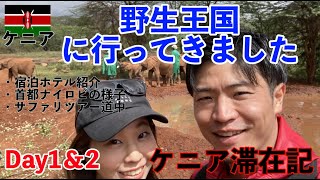 【ケニア①】野生王国ケニアに行ってきました！！マサイマラ国立保護区のサバンナでサファリツアー！！