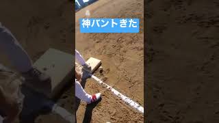 【審判目線】神バントきた #shorts #野球 #軟式野球 #草野球 #gopro