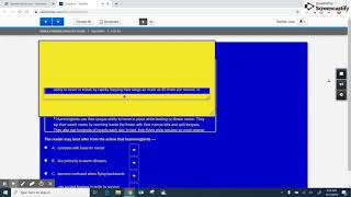 Overview and Introduction of TestNav 8