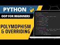 Python OOP For Beginners - Polymorphism & Overriding Explained