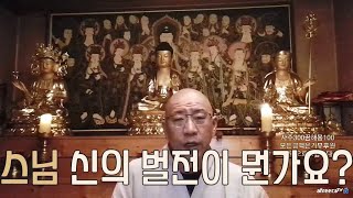 스님 신의 벌전이 뭔가요?