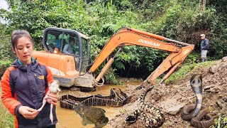 Full Video 140 days, excavator digging soil to levethe field and dump truck carrying firewood