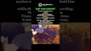 His Panic Became The Video