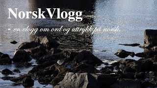 NorskVlogg 5 (å regne/å regne med)