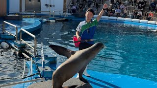 (241013)仙台うみの杜水族館スタジアムライブ