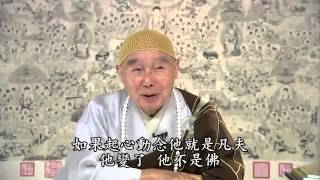 2012淨土大經科註518-淨空法師共578集)高清字幕