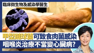 食肉菌感染：甲型鏈球菌｜甲型鏈球菌可致食人菌感染、白血病、猩紅熱！鏈球菌咽喉炎治療不當可致風濕性心臟病？常寄居於健康人士喉嚨及皮膚？｜臨床微生物及感染學醫生王建芳醫生｜人類健康研究所