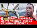 MAPYA YAIBUKA: CHANZO CHA AJALI YA NDEGE BUKOBA I KIJANA MAJALIWA AFUNGUKA KWA HISIA NI..