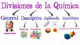 💥 Divisiones de la Química 💥 [Fácil y Rápido] | QUÍMICA |