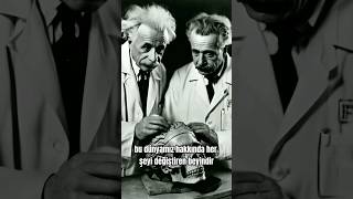 Einstein'ın Çalınan Beyni