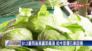 高麗菜漲價農民搶種 農糧署憂11月價格崩盤－民視新聞