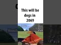 dogs in 2069