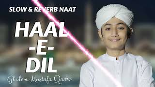 Hal-e-Dil Kis Ko Sunaye Ap ﷺ Ky Hoty Hue (𝚂𝚕𝚘𝚠𝚎𝚍 + 𝚁𝚎𝚠𝚎𝚛𝚋) Urdu Lyrics #Naat