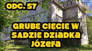 Odc.57 STARY SAD - WYCINKA NIECHCIANYCH DRZEW | Ile zrobię w 2 dni robocze?