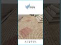 보도블록청소 beforeandafter 보도청소 학교청소 청소업체 파랑새 청소