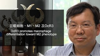 2. 巨噬細胞、M1、M2 及DcR3 (DcR3 promotes macrophage differentiation toward M2 phenotype)