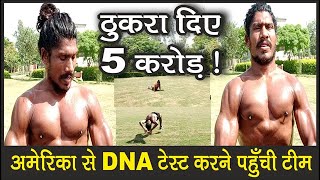 देसी टार्जन ने ठुकरा दिए 5 करोड़, अमेरिका से DNA टेस्ट करने पहुँची टीम ! #kaithaltv