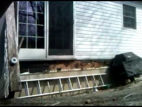 Deck Collapse Youtube