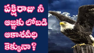 పక్షిరాజు నీ ఆజ్ఞకు లోబడి ఆకాశవీధి కెక్కునా?/న్యాయాధిపతి part 28